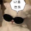 오픽영어학원