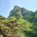 제998차 정기산행 봉화 청량산 이미지