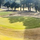 현대그린골프연습장 이미지