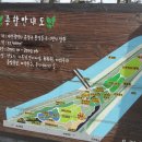 유림공원/대전 이미지