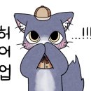 세일화방