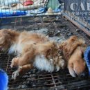 서명농장 이미지