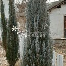 청록농장 이미지