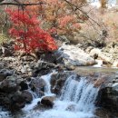 지리산 단풍비 이미지