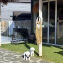 사과 휴식공간, 사 | 경기도 광주 이천 애견동반 캠핑장 방도리힐스 후기｜프라이빗 대관 캠핑 추천