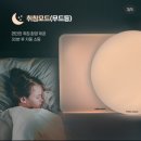 2025 리빙디자인페어 쇼핑 리스트 후기 크로우캐년 쿠진 시리츠 핀일로 루메나 번개표 조명 가격 공유...