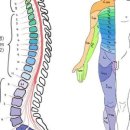 고은경희한의원 이미지