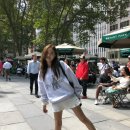 버터포레스트