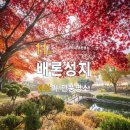 11월8일 晩秋!! 名不虛傳 오색빛 테마출사 베론성지 &amp; 반계리 은행나무 ,비내섬 이미지