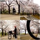 아줌마 자전거여행[벚꽃바람 길 환상 라이딩, 낮은 자리 새싹 미소들-성내천] 이미지