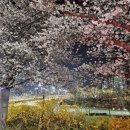 알천남로 이미지