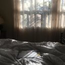 [남녀불문] York Mills 욕밀 타운하우스 3층 룸렌트 $900 / 영쉐퍼드 이미지