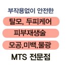 에쉘뷰티