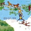 하양사진 이미지