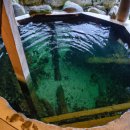 충온온천 이미지