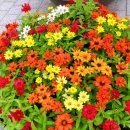 호수공원버스정류장 이미지