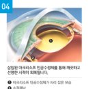 광주안과의원 이미지