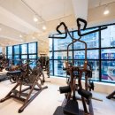 스테디 짐 이미지