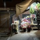 은도 | 밀라노 은도 빨리 친해지길바래