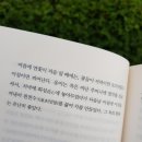 서동공원(궁남지 부근) 음식특화거리 | 연꽃축제 앞두고 있는 부여 궁남지에 다녀왔어요