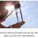 물고기의 뼈를 염색해 만든 악세사리 이미지