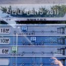 지도 왕벚나무길 이미지