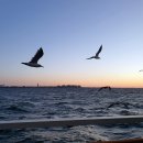 솔찬공원(주차장) 이미지