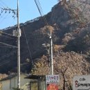 홍시먹으러곶감 이미지