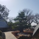 방선문 | [제주 카페 추천] 유지커피웍스, 핸드드립커피와 빵 맛집이 만난 분위기 맛집