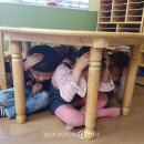 화원유치원 이미지