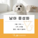 이담동물병원 이미지