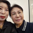 마노필의원 이미지