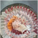 남해회센타 이미지