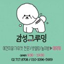 감성그루밍 | 홍대 애견미용 / 감성그루밍 / 후기 리뷰