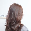 디자인SJ 이미지