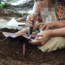 고마워토토 평택점