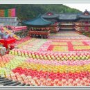 삼광사
