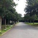 서홍동-7 이미지