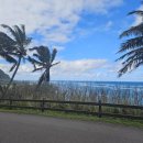 선두목장 | 쿠알로아 랜치 UTV 랩터 찐 투어 후기