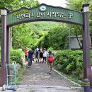 계림정야영장 이미지