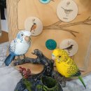 숲쟁이협동조합 이미지