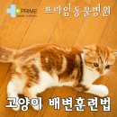 구리동물병원 이미지