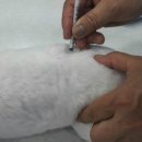 한라동물종합병원 이미지