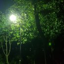 마로니에펜션 이미지