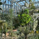 일월수목원전시온실 | 수원 주말 나들이 실내데이트 일월수목원 전시온실 후기 입장료 주차 정보