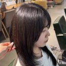 미용실 하이레이어드·레이어드로 분위기 있고 볼륨 있게 정착할 미용실은 아이디헤어 세종청사 다빈