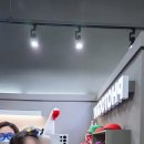 포토그레이시흥