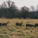 매수농장 이미지