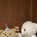 고미푸딩 이미지