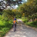 하촌농장 이미지